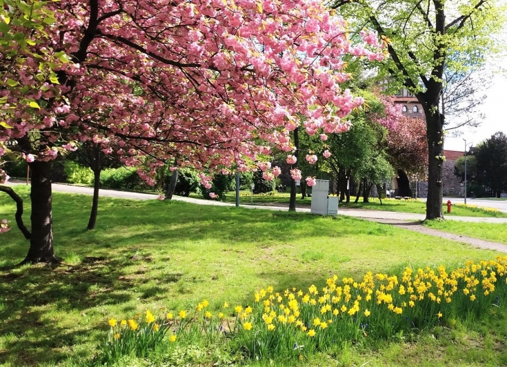 na-dzien-kobiet-od-prezydenta