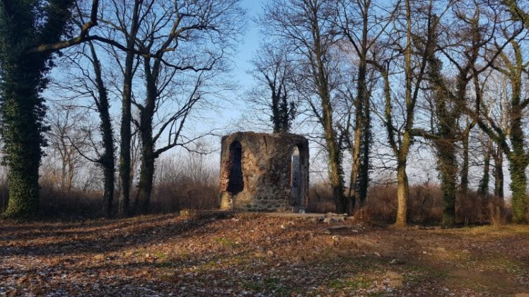 altana-odzyska-blask