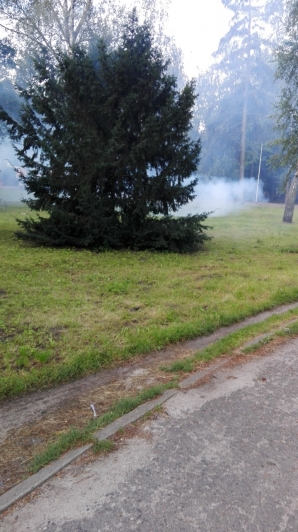 wykurza-nieproszonych-gosci