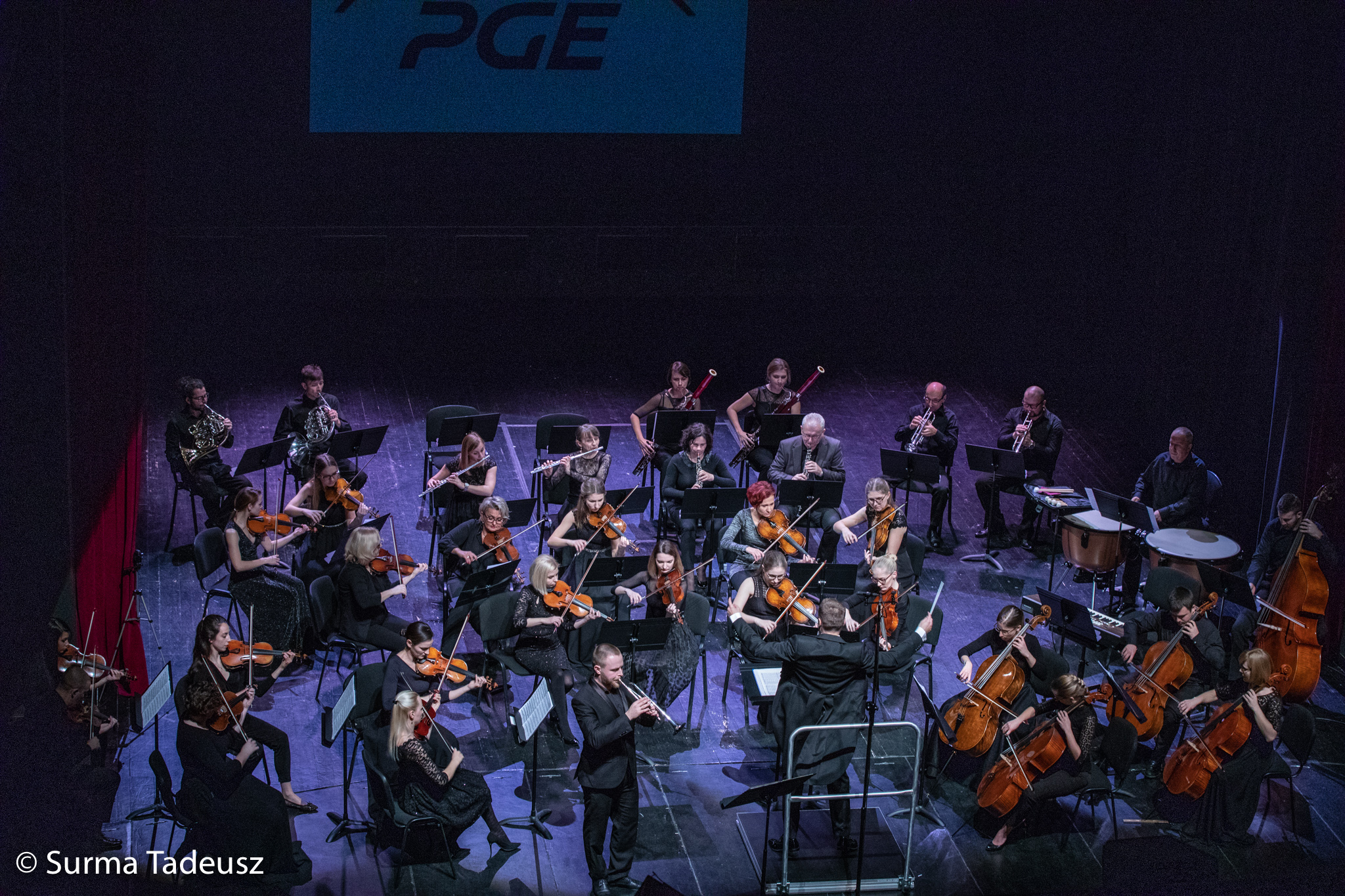 camerata-gra-on-line