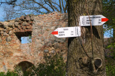 TP1 Szadzko Kościół Ruiny TP1 Szadzko Kościół Ruiny