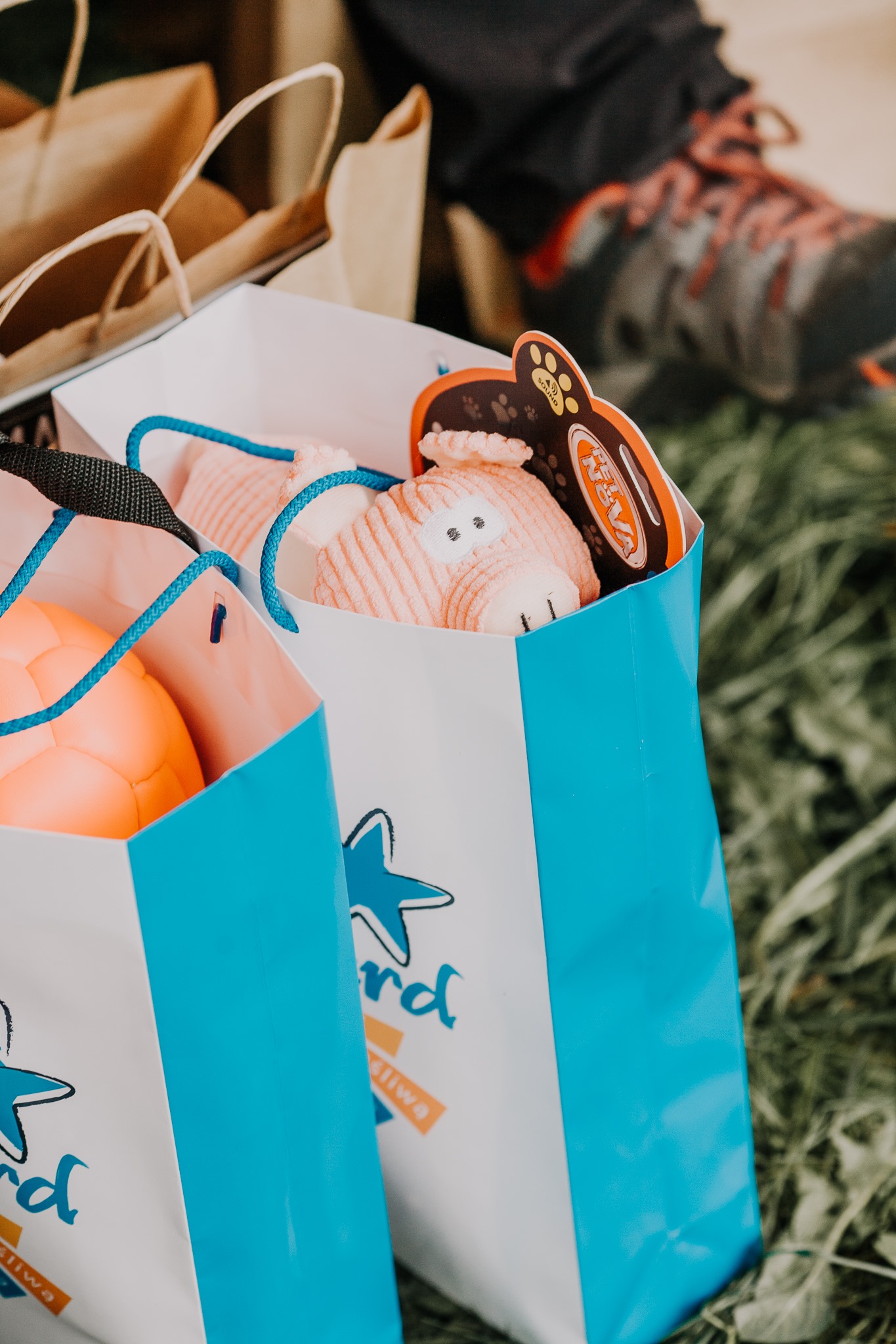 zabawa-na-cztery-lapy-07