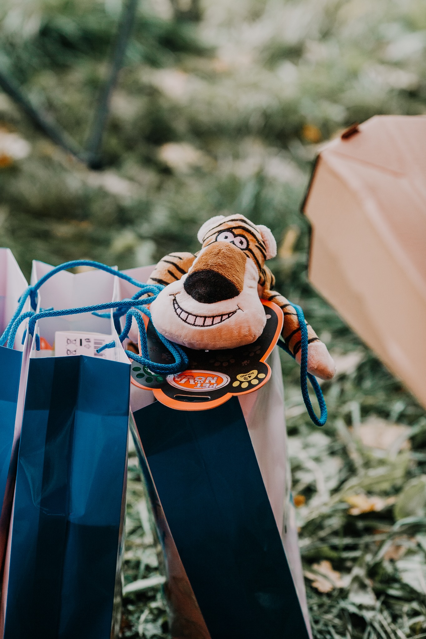 zabawa-na-cztery-lapy-08