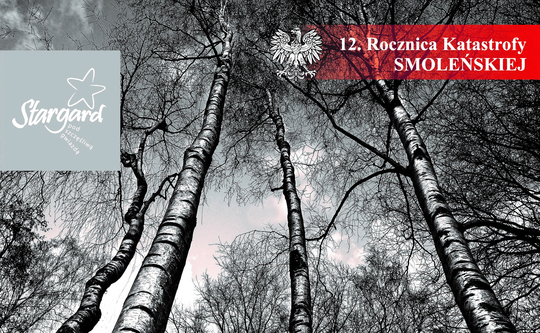 Stargard – Oficjalna strona miasta Logo